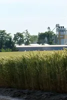 India’s Ethanol Capacity Surpasses Current Demand 
