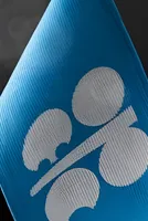 OPEC+ To Consider Oil Output Hike By 137,000 bpd For April