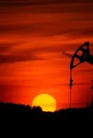 Oil’s Long Goodbye: From Shocks to Transition 