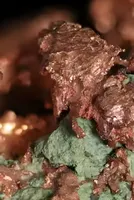 World faces copper shortage as AI data centres drive power demand: Survey 