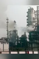 Chemical prices recover in August but demand remains weak: Report 