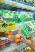 Six ways the war on Iran exposed the real cost of plastics 