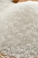 Which State is the Largest Producer of Sugar in India? 