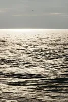 Russia's Vital Baltic Oil Hubs Crippled by Ukrainian Drone Campaign