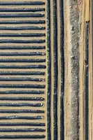 Farmers Struggle as Petrochemical Shortages Drive Up Costs 