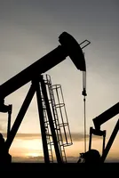 India sourced more than two-thirds of its August oil imports from just three countries 