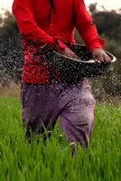 Forget oil and gas, a bigger Iran war risk is shaping up