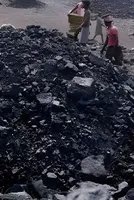 India Eyes Overseas Coking Coal To Strengthen Supply