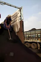 Coal Output Rises 4.5%, Enough Stock for Power: Minister Reddy 