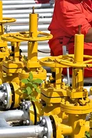 India’s Energy Shield Holds Firm 