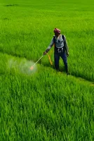 Why pesticide intermediates are set for a slower but steadier climb 