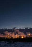 Energy Market Mistaking Adaptation for Normalization