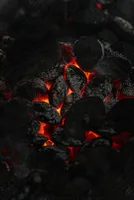 Rs 46,000 crore push to speed up coal gasification in India: Kishan Reddy - The Sentinel 