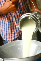 India's Milk Market Update