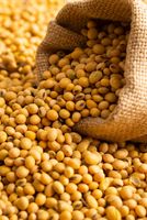 Soybean Prices Drop Amid Worries