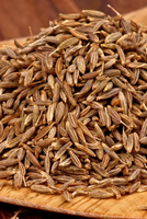 Rajasthan Cumin Prices Fluctuate