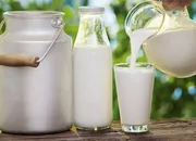 No proposal before govt to hike milk prices: Karnataka minister K N Rajanna