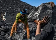 Coal India gains on JV with BHEL for ammonium nitrate plant in Odisha, BHEL falls