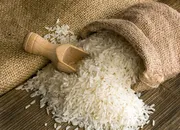India faces queries from WTO on PMGKAY extension and rice export ban