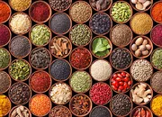 Spices manufacturing unit in Ujjain to come up at ₹150cr