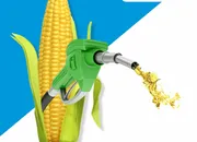 Production of ethanol from maize to be promoted through various multidepartment...
