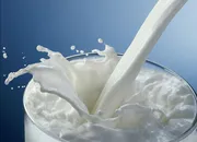 Milk demand may rise 13% in wedding season