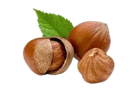 Hazelnuts