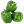 Capsicum