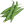 Ridge Gourd
