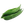 Snake Gourd
