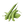 Sponge Gourd
