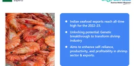 genetic-breakthrough-to-boost-indias-shrimp-industry-and-exports