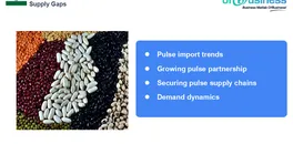 pulses-imports-india-brazil-alliance-and-beyond-in-bridging-supply-gaps
