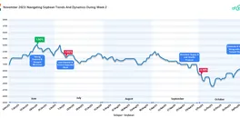 november-2023-navigating-soybean-trends-and-dynamics-during-week-2
