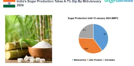 indias-sugar-production-takes-a-7-dip-by-mid-january-2024