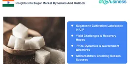 insights-into-sugar-market-dynamics-and-outlook