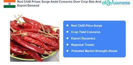 red-chilli-prices-surge-amid-concerns-over-crop-size-and-export-demand