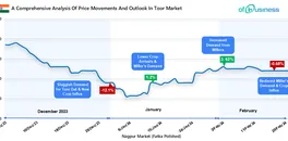 a-comprehensive-analysis-of-price-movements-and-outlook-in-toor-market