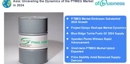 understanding-the-dynamics-of-the-ptmeg-market-in-2024