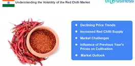 understanding-the-volatility-of-the-red-chilli-market