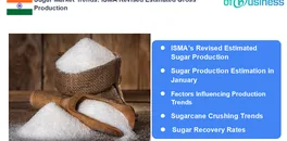 sugar-market-trends-isma-revised-estimated-gross-production