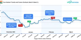 toor-market-trends-and-future-outlook-march-week-3
