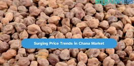 understanding-the-chana-price-surge-and-market-trajectory-april-week-2