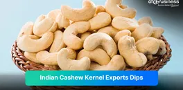 a-look-at-the-downturn-in-indias-cashew-industry