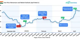 toor-price-momentum-and-market-outlook-april-week-2
