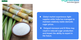 sugar-prices-surge-globally-while-india-faces-monsoon-delay
