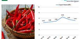 india-chilli-export-surges-and-spices-up-global-demand