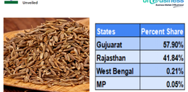 cumin-farming-challenging-scenario-and-export-woes-unveiled