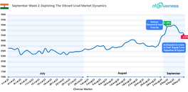 september-week-2-exploring-the-vibrant-urad-market-dynamics