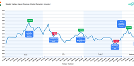 weekly-update-latest-soybean-market-dynamics-unveiled